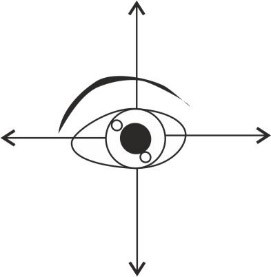 Augenbewegung